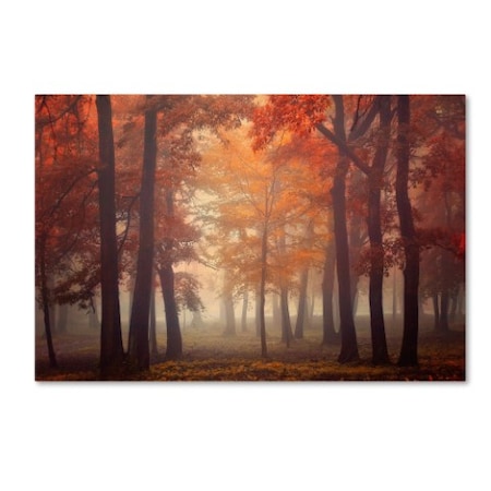 Ildiko Neer 'Feel' Canvas Art,16x24